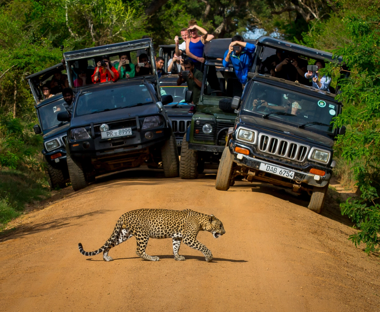 national tourist guide course in sri lanka